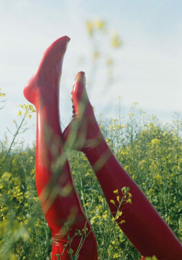 Borderland Residencies