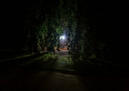 Borderland Residencies