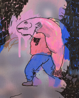 Borderland Residencies