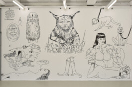 Borderland Residencies