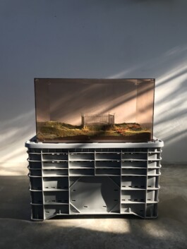 Borderland Residencies