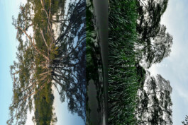 Borderland Residencies