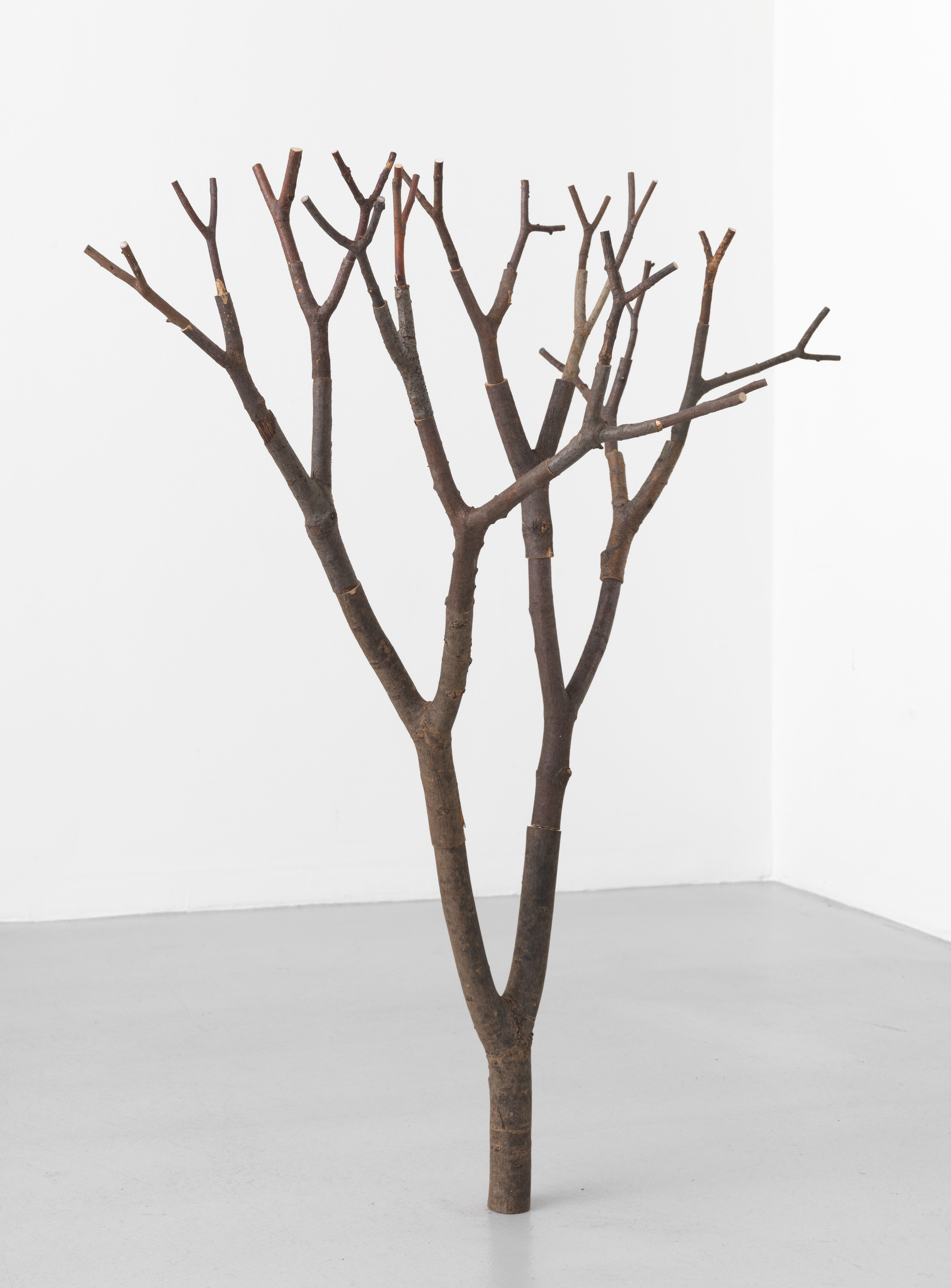 Borderland Residencies