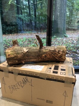 Borderland Residencies