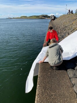 Borderland Residencies