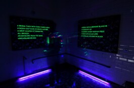 Borderland Residencies