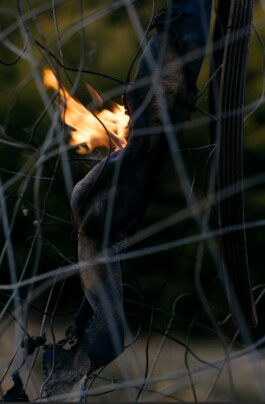 Borderland Residencies