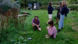 Borderland Residencies