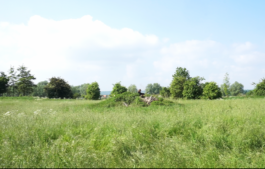 Borderland Residencies