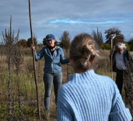Borderland Residencies