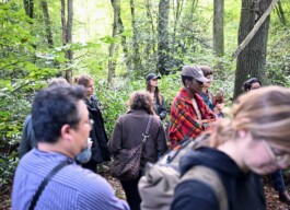 Borderland Residencies