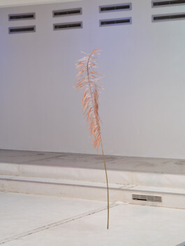 Borderland Residencies